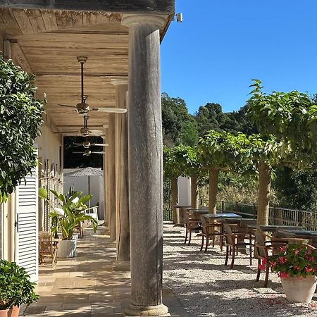 Le Clos Des Sept Palmiers กาวาแลร์-ซูร์-แมร์ ภายนอก รูปภาพ
