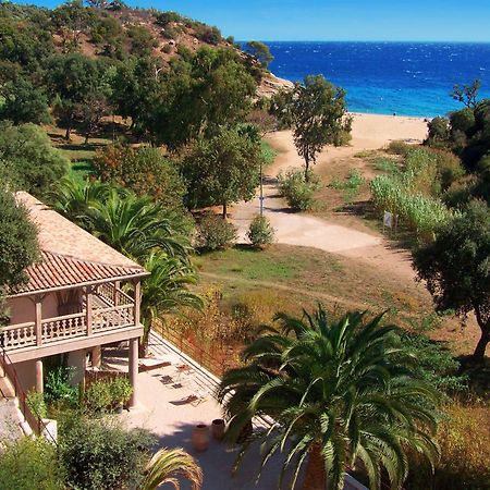 Le Clos Des Sept Palmiers กาวาแลร์-ซูร์-แมร์ ภายนอก รูปภาพ