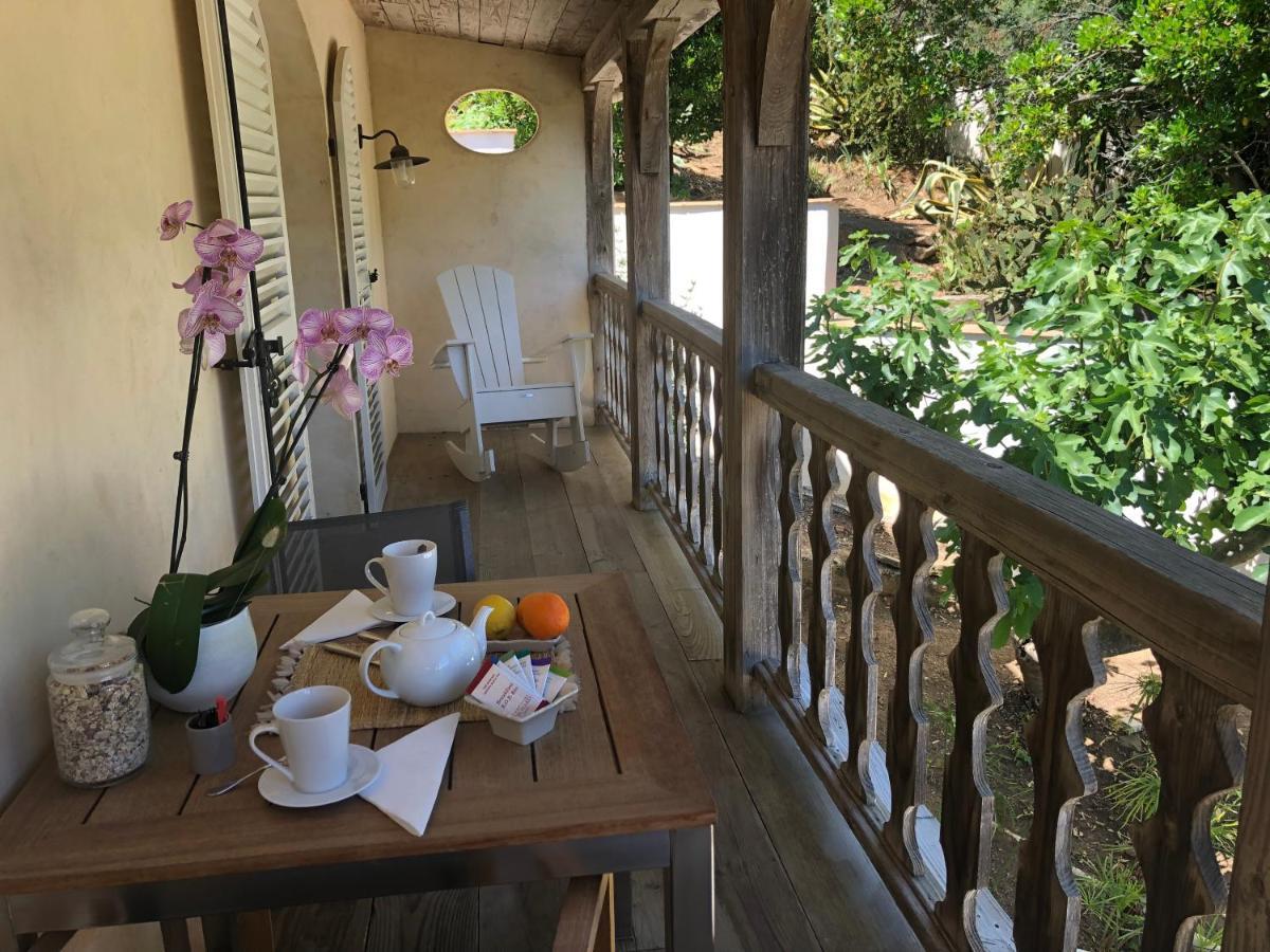 Le Clos Des Sept Palmiers กาวาแลร์-ซูร์-แมร์ ภายนอก รูปภาพ