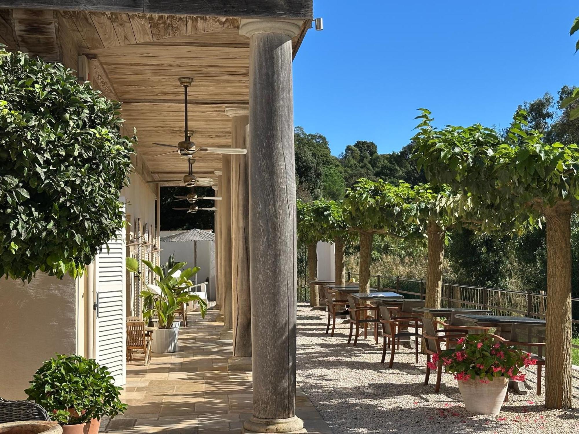 Le Clos Des Sept Palmiers กาวาแลร์-ซูร์-แมร์ ภายนอก รูปภาพ