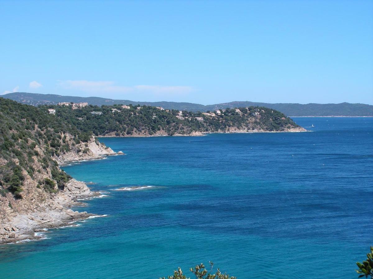 Le Clos Des Sept Palmiers กาวาแลร์-ซูร์-แมร์ ภายนอก รูปภาพ