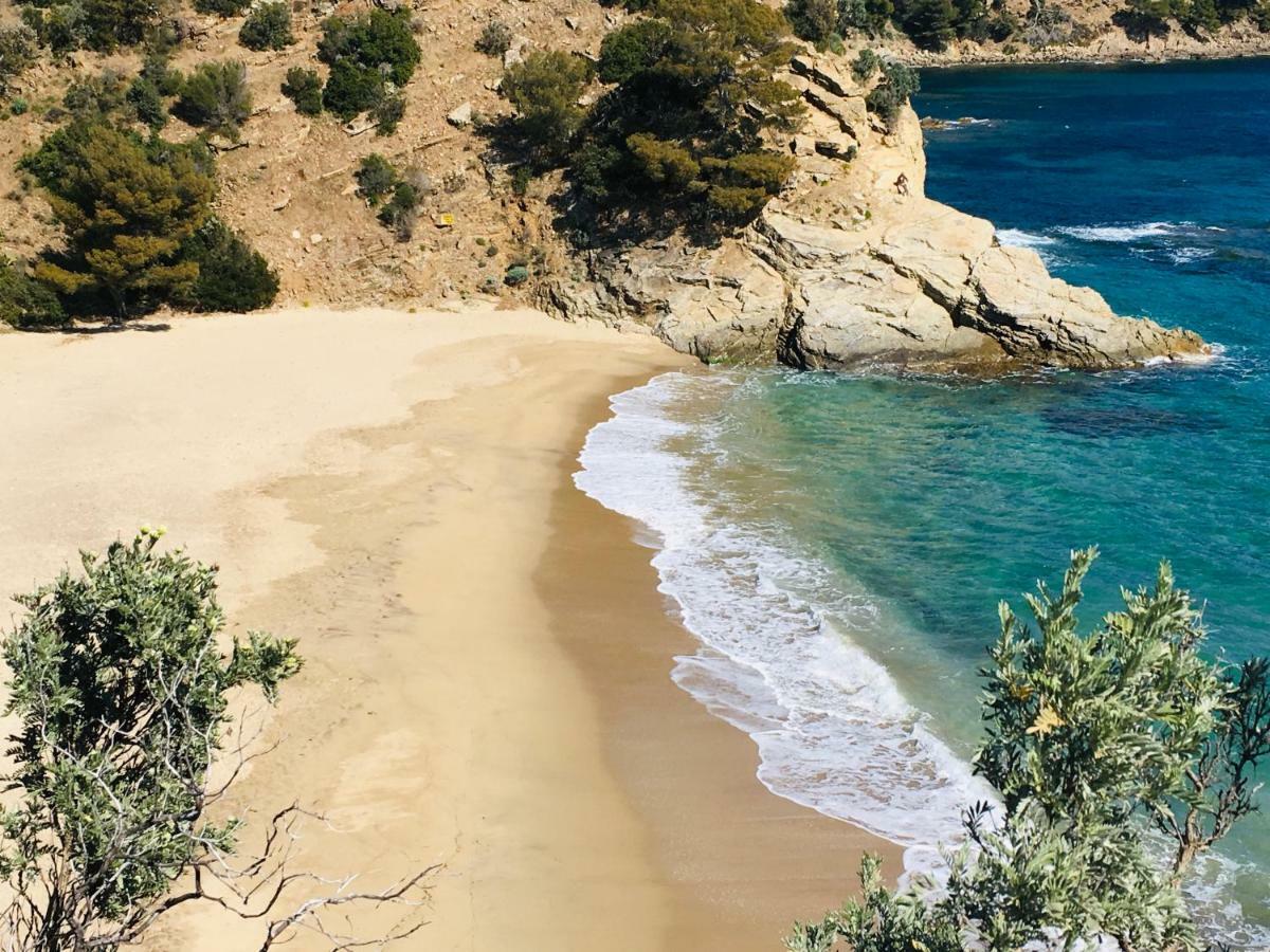 Le Clos Des Sept Palmiers กาวาแลร์-ซูร์-แมร์ ภายนอก รูปภาพ