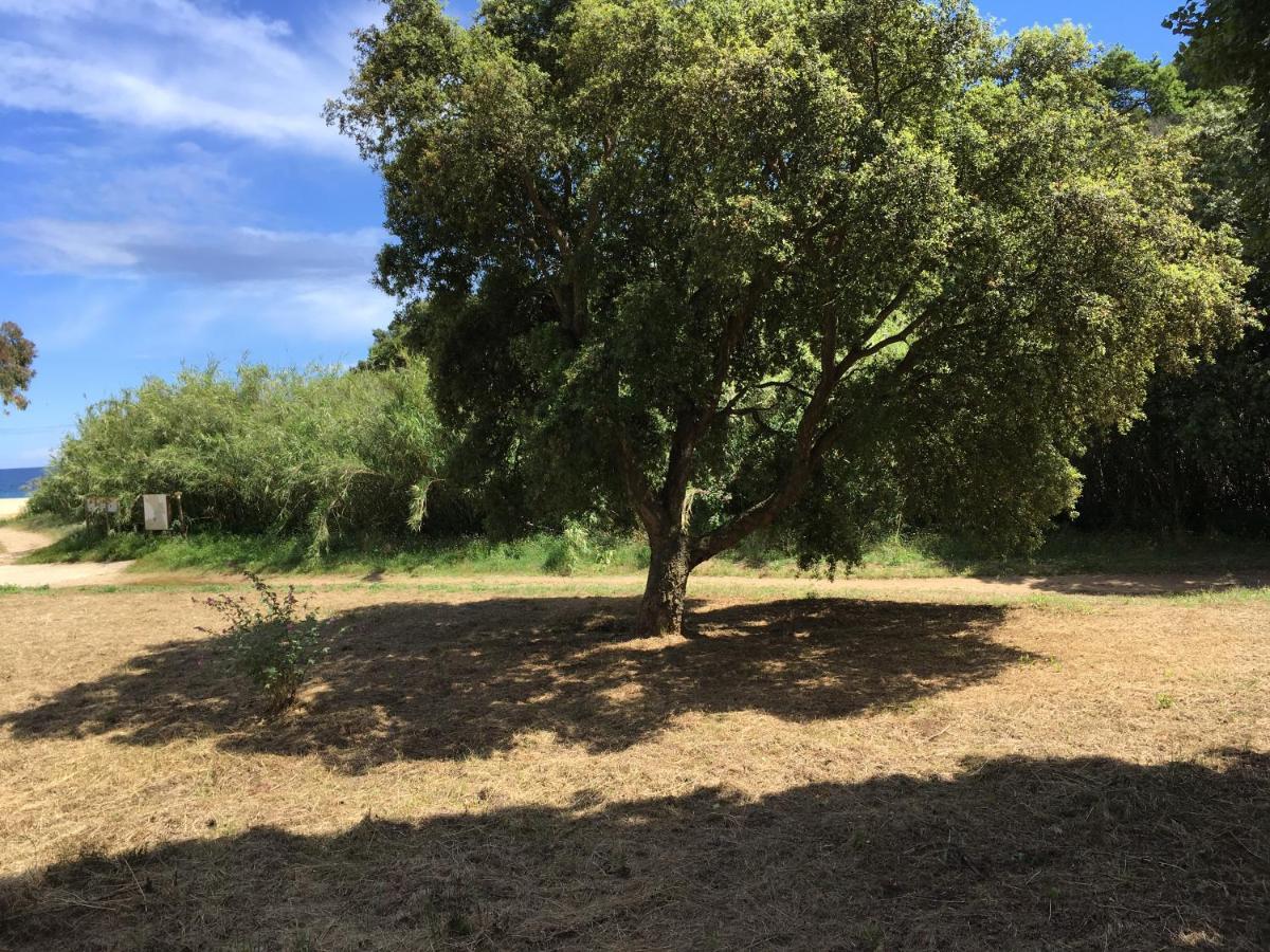 Le Clos Des Sept Palmiers กาวาแลร์-ซูร์-แมร์ ภายนอก รูปภาพ